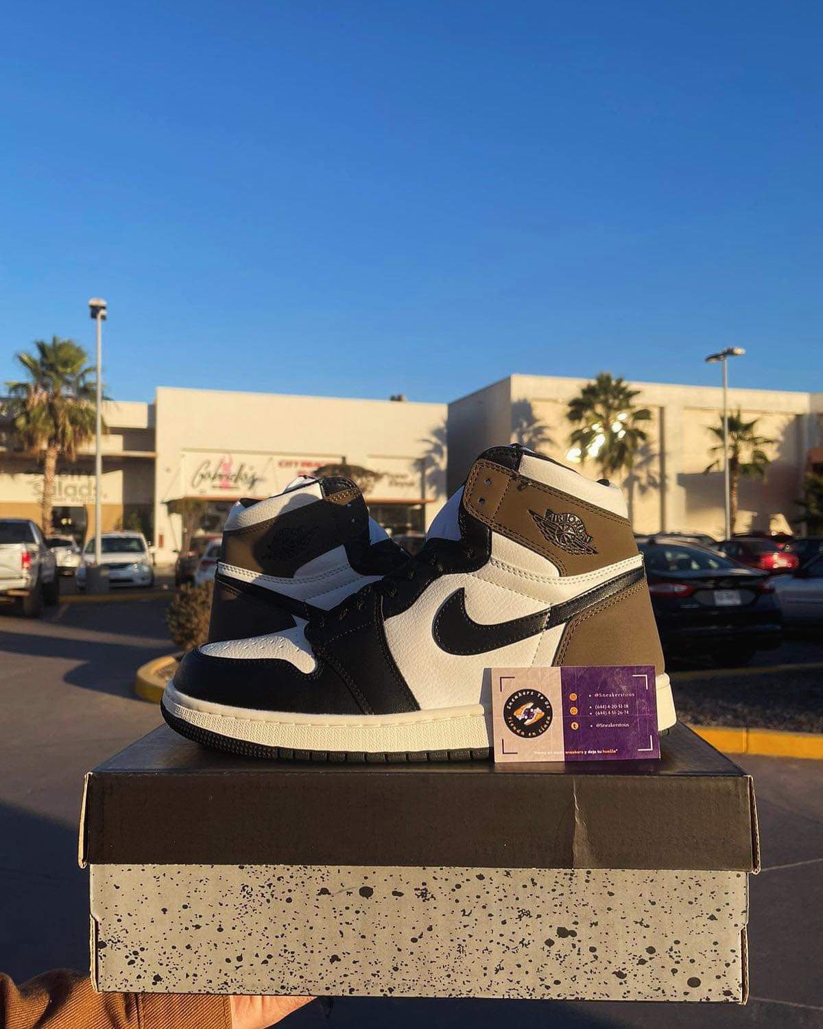 Nike Jordan 1 High OG Dark Mocha